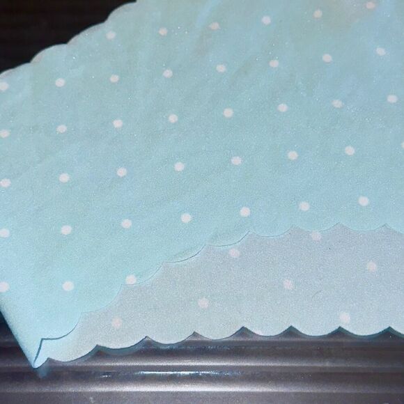 NWT (XXL) Victoria’s Secret HipHugger Panty - Seamless Light Blue Polka Dot Desi - Picture 5 of 5